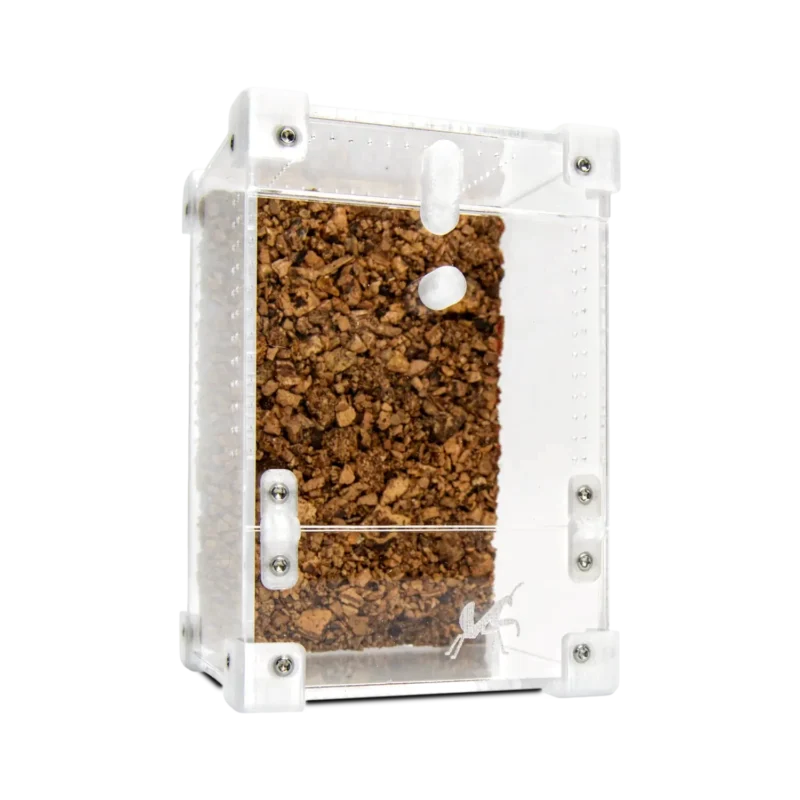 BugBox Mini vinklet