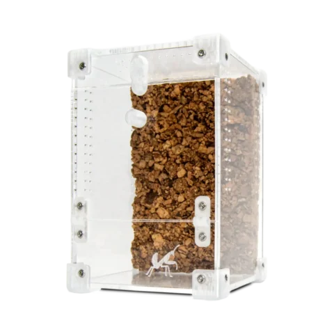 BugBox Mini