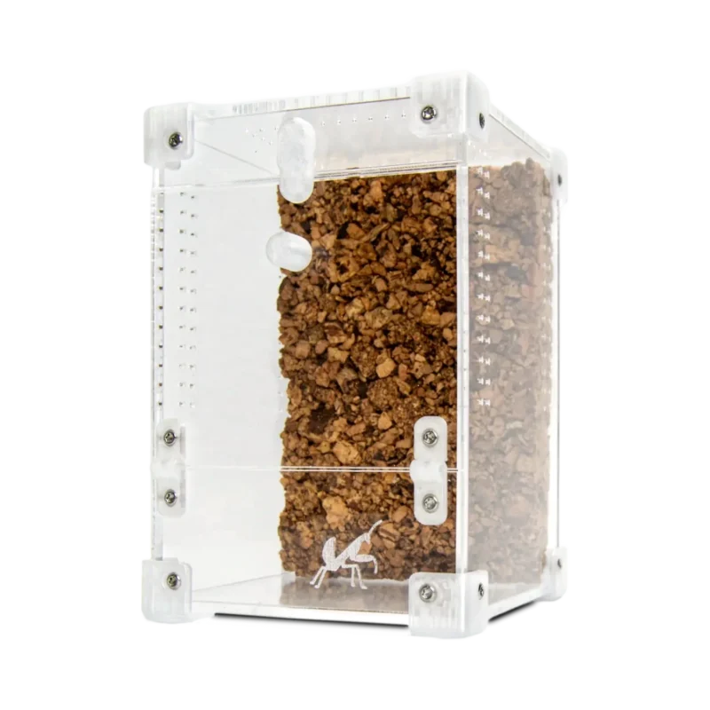 BugBox Mini