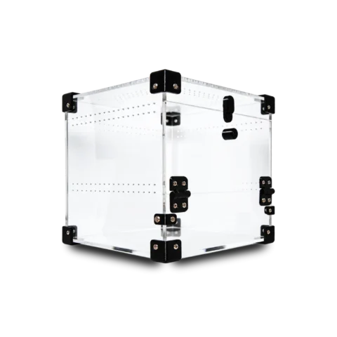 BugBox Mini Cube