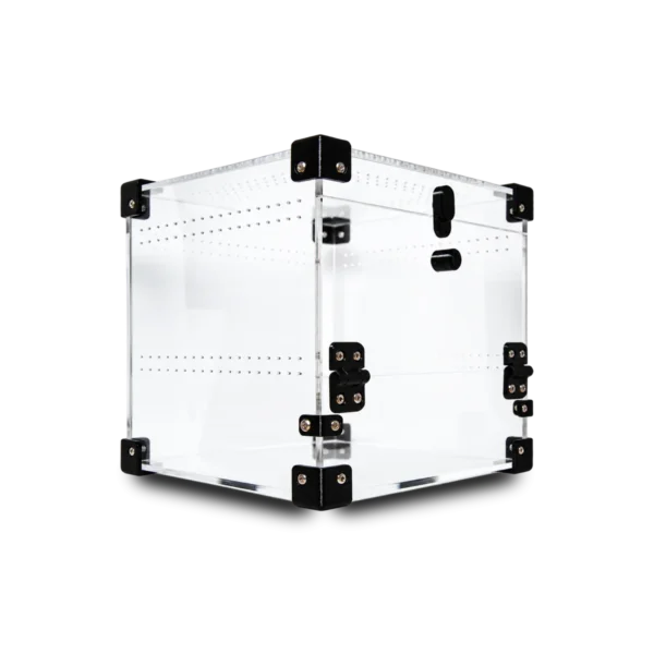 BugBox Mini Cube – akrylterrarie 15 × 15 × 15 cm med frontlåge, set skråt fra siden