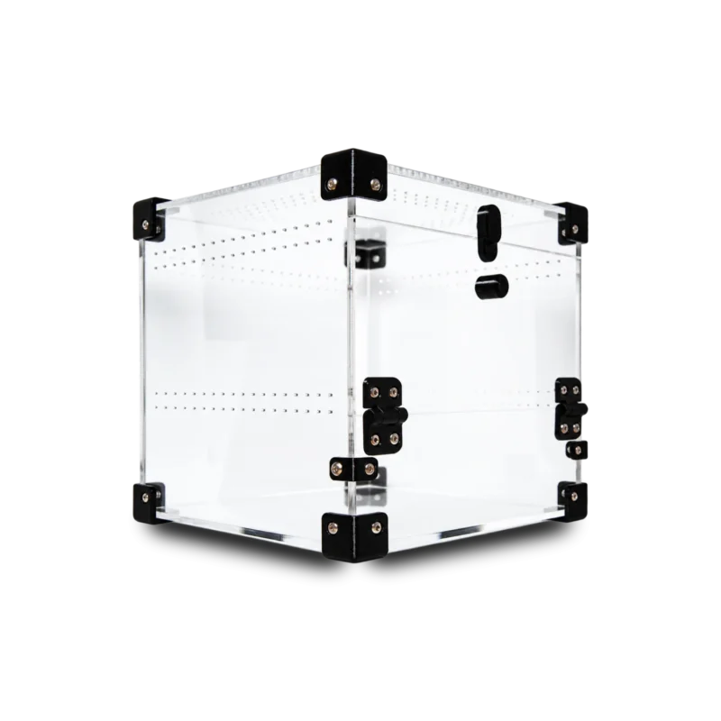 BugBox Mini Cube – akrylterrarie 15 × 15 × 15 cm med frontlåge, set skråt fra siden
