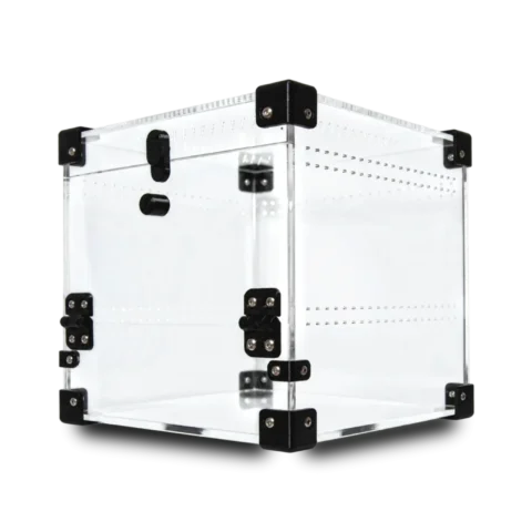 BugBox Mini Cube