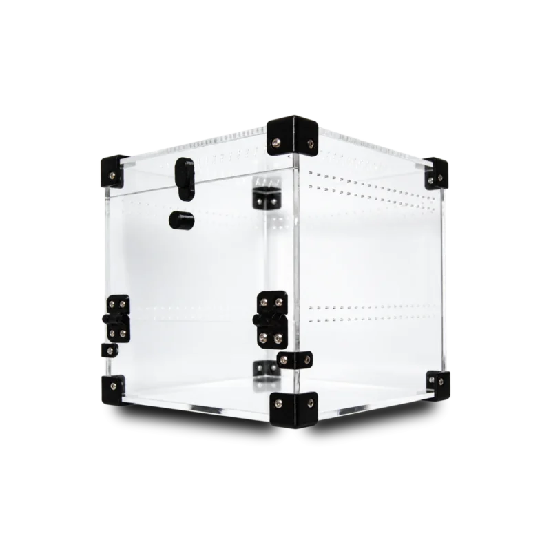 BugBox Mini Cube skråt forfra – rækker af 1 mm ventilationshuller i siden
