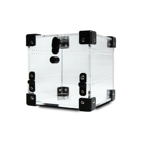 BugBox Nano Front – akrylterrarie 10 × 10 × 10 cm med frontlåge, set skråt forfra