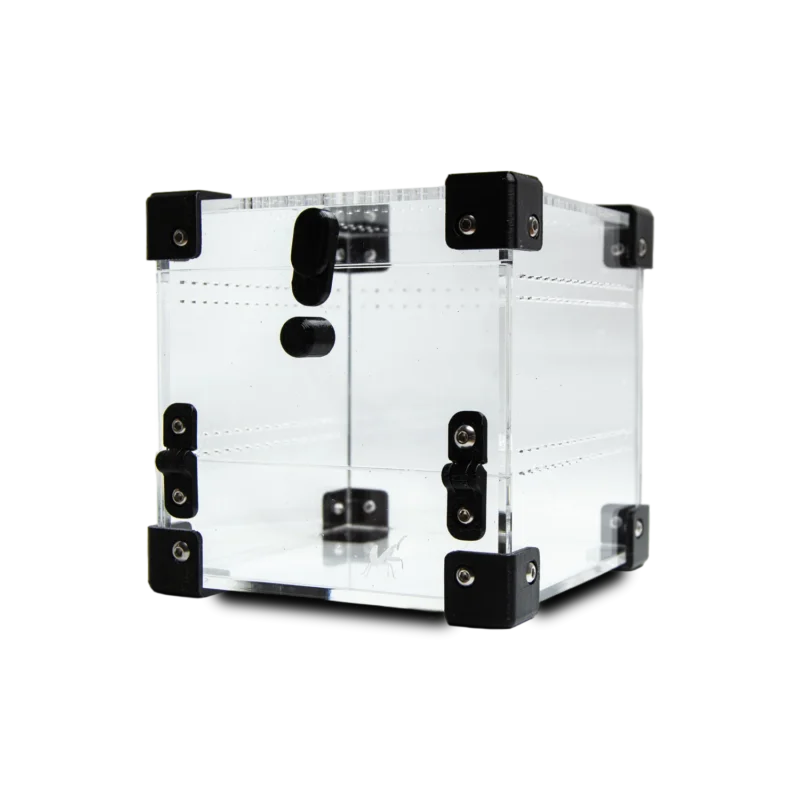 BugBox Nano Front – akrylterrarie 10 × 10 × 10 cm med frontlåge, set skråt forfra
