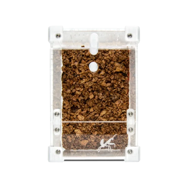 BugBox Mini terrarie front