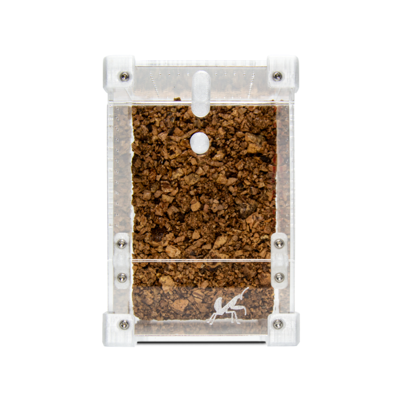 BugBox Mini | Bug Boutique