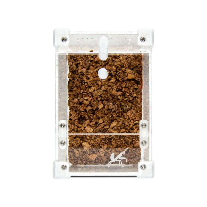 BugBox Mini terrarie front