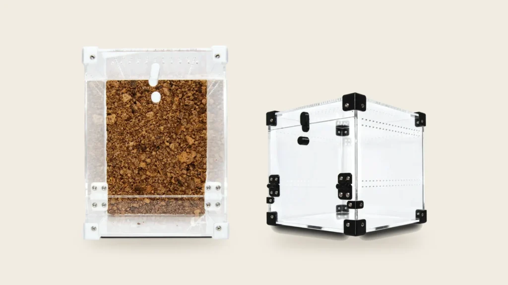 To terrarier i klart akryl, BugBox Midi og BugBox Mini Cube, med låge foran