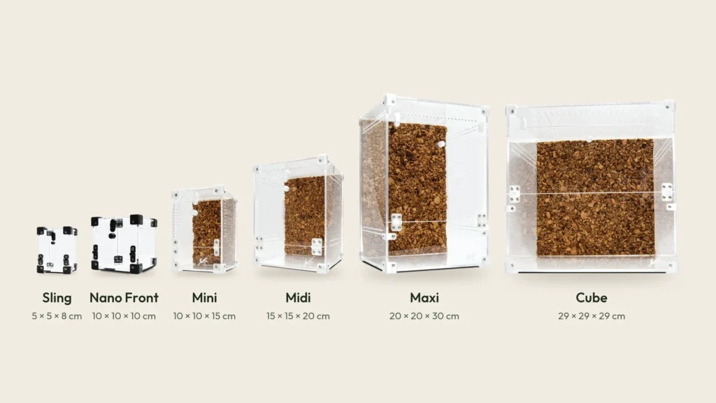 BugBox terrarier i rigtig størrelse fra Sling på 6 × 6 × 8 cm til Cube på 29 × 29 × 29 cm