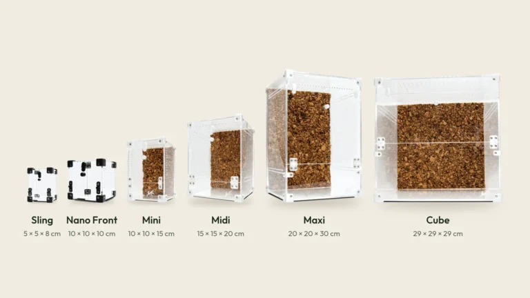 BugBox terrarier i rigtig størrelse fra Sling på 6 × 6 × 8 cm til Cube på 29 × 29 × 29 cm