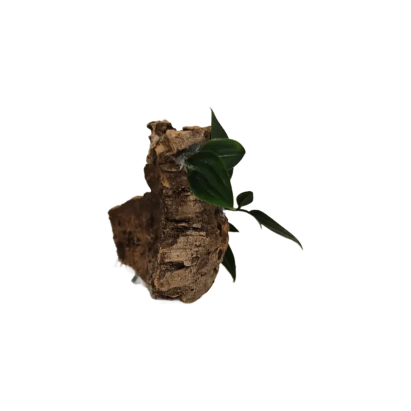 korkdekoration