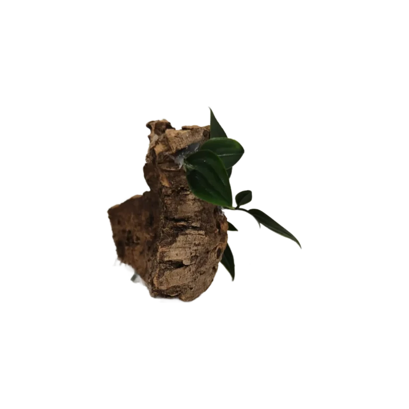 korkdekoration