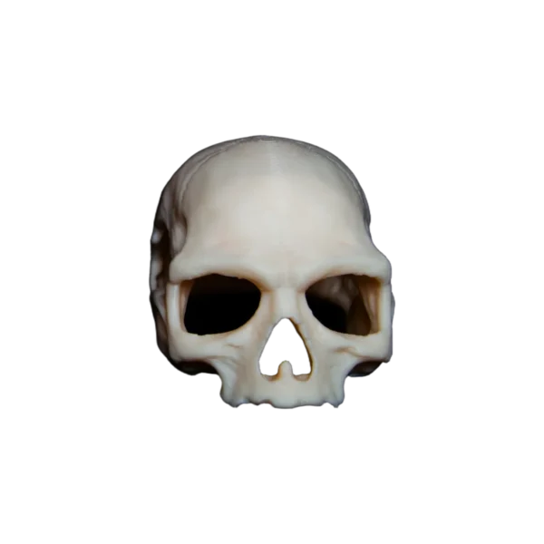 Kraniet – billede 2