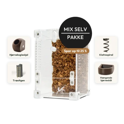Mini Mix