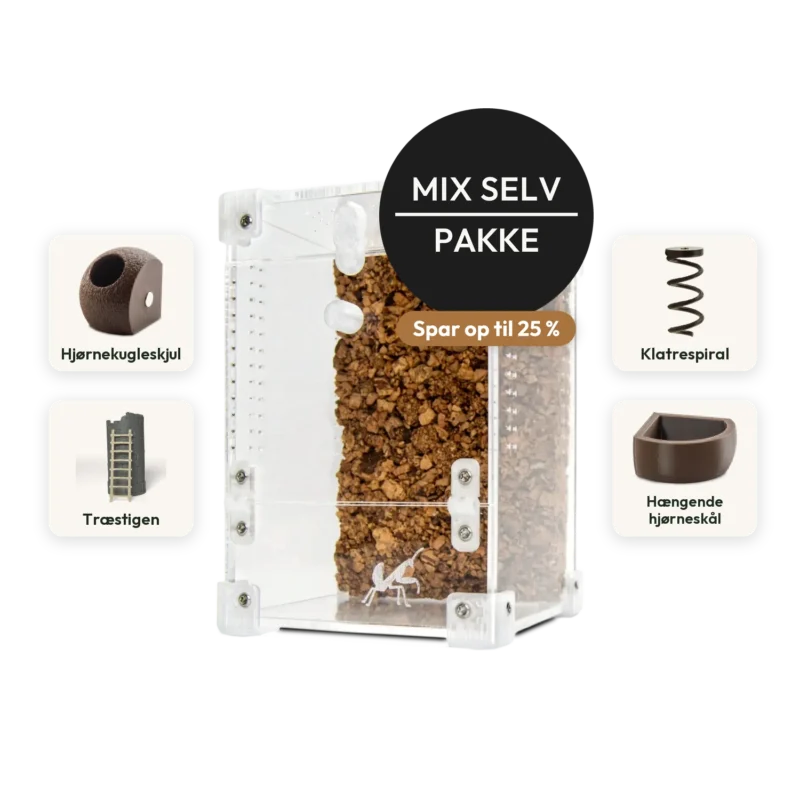 Byg selv pakke med terrarie og 4 stykker tilbehør efter eget valg