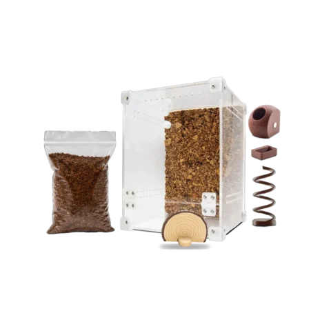 Startpakke til springedderkop