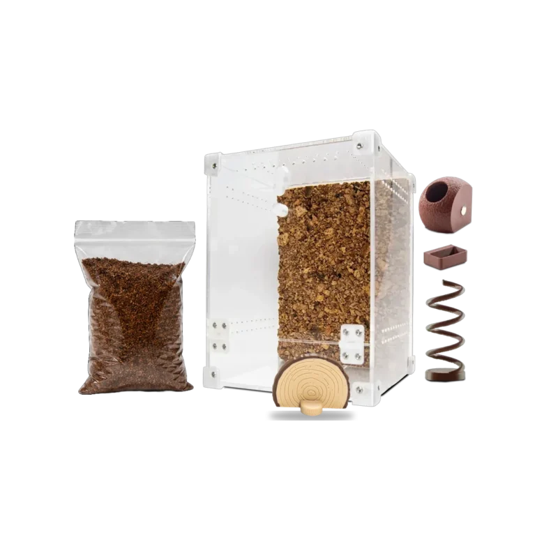 Startpakke til springedderkop med BugBox Midi, jord, Hjørnekugleskjul, Klatrespiral, foderskål og Skovskiven