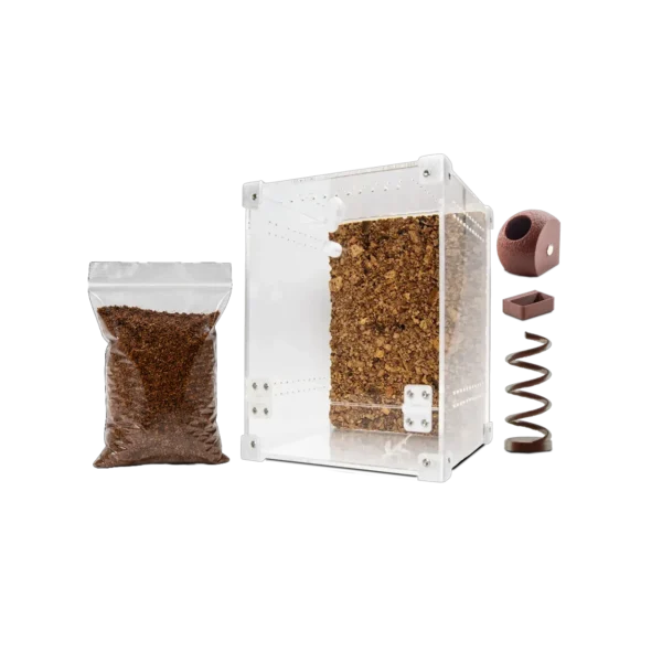 startpakke-springedderkop