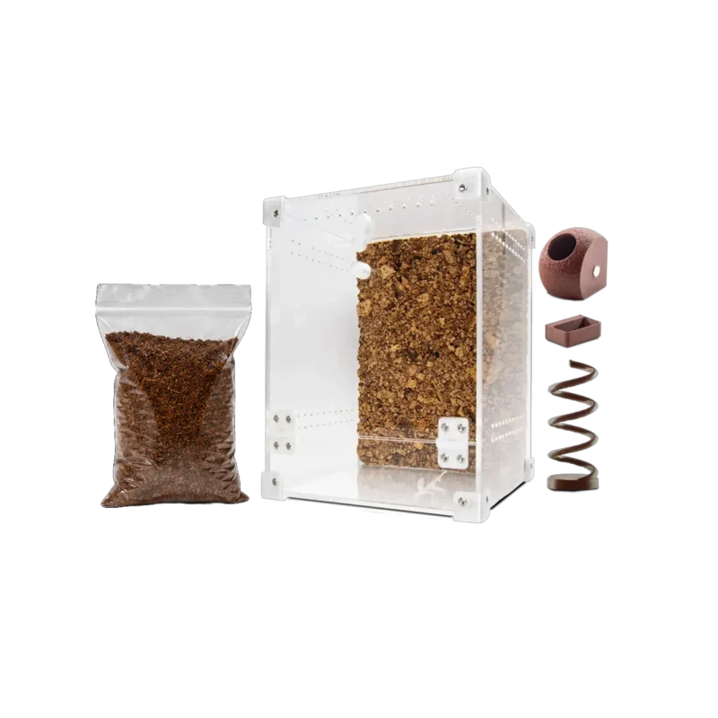startpakke-springedderkop