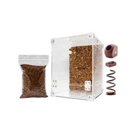 Startpakke – Springedderkop