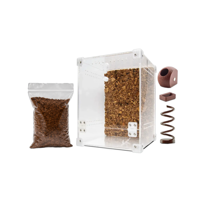 startpakke-springedderkop