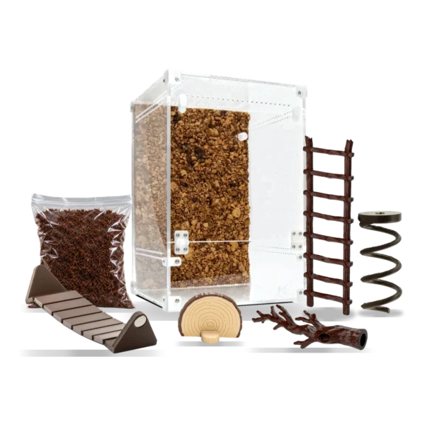 Startpakke til vandrende pinde med BugBox Maxi, jord og tilbehør