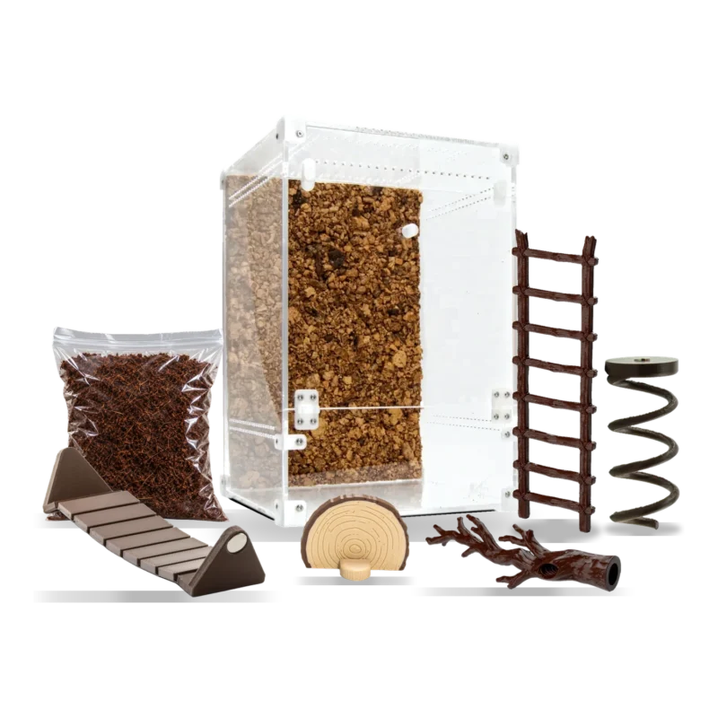 Startpakke til vandrende pinde med BugBox Maxi, jord og tilbehør