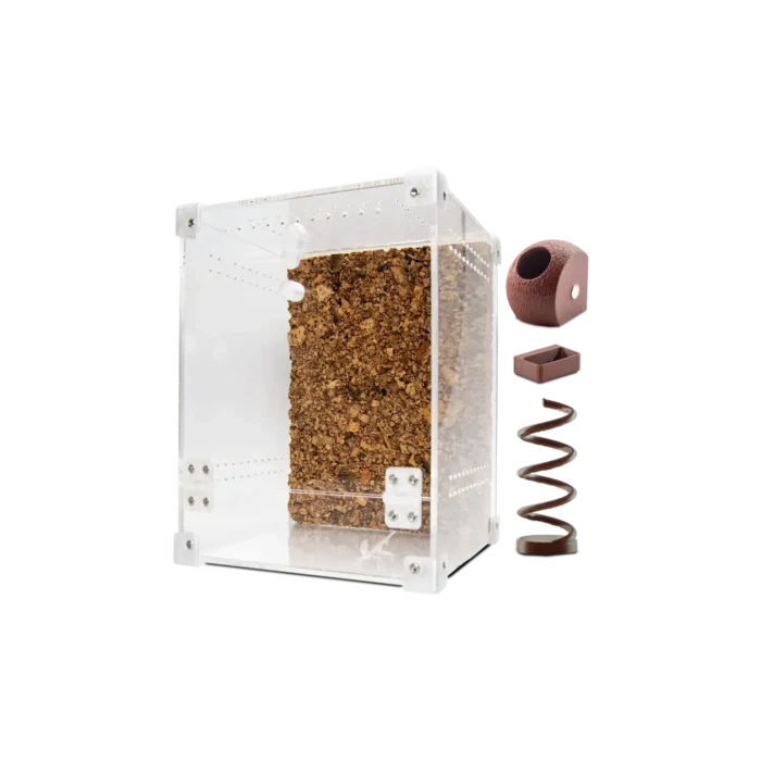 Startpakke- springedderkop