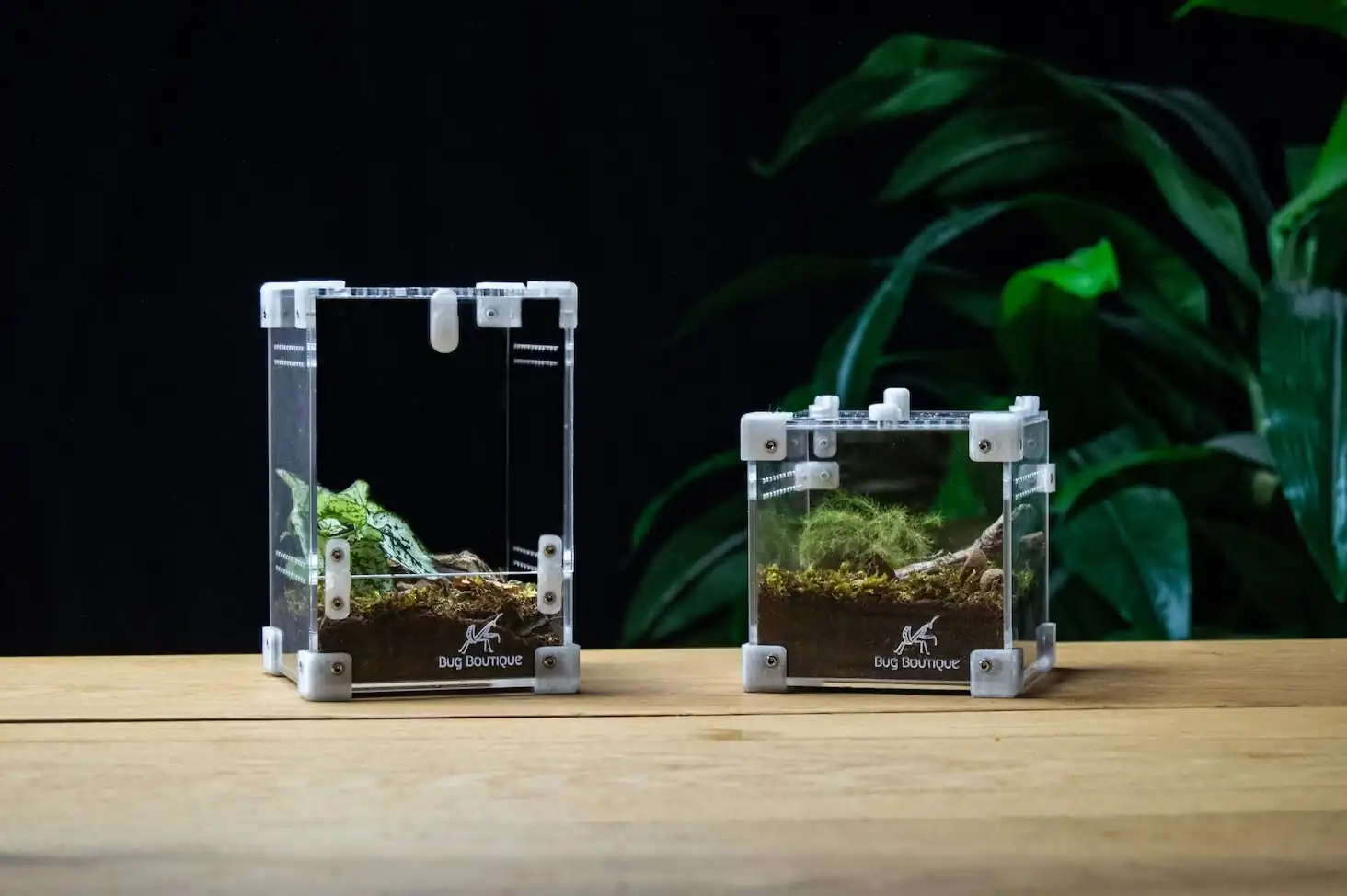 Terrarier på specialmål