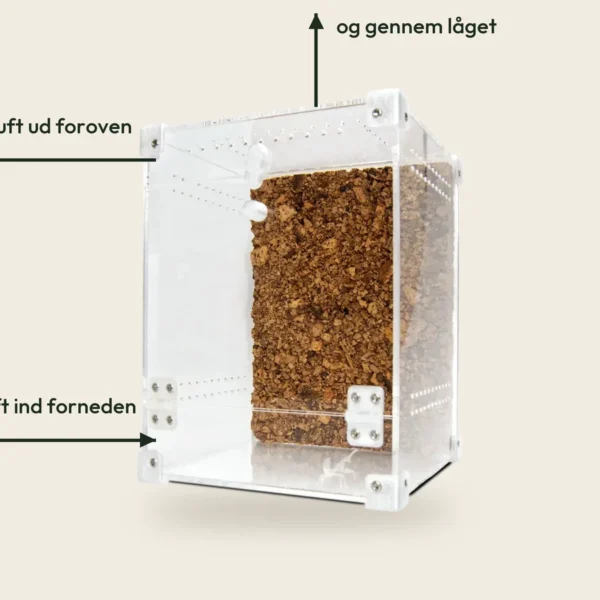 BugBox Midi med pile, der viser frisk luft ind forneden og fugtig luft ud foroven
