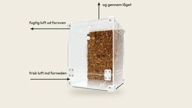 BugBox Midi med pile, der viser frisk luft ind forneden og fugtig luft ud foroven